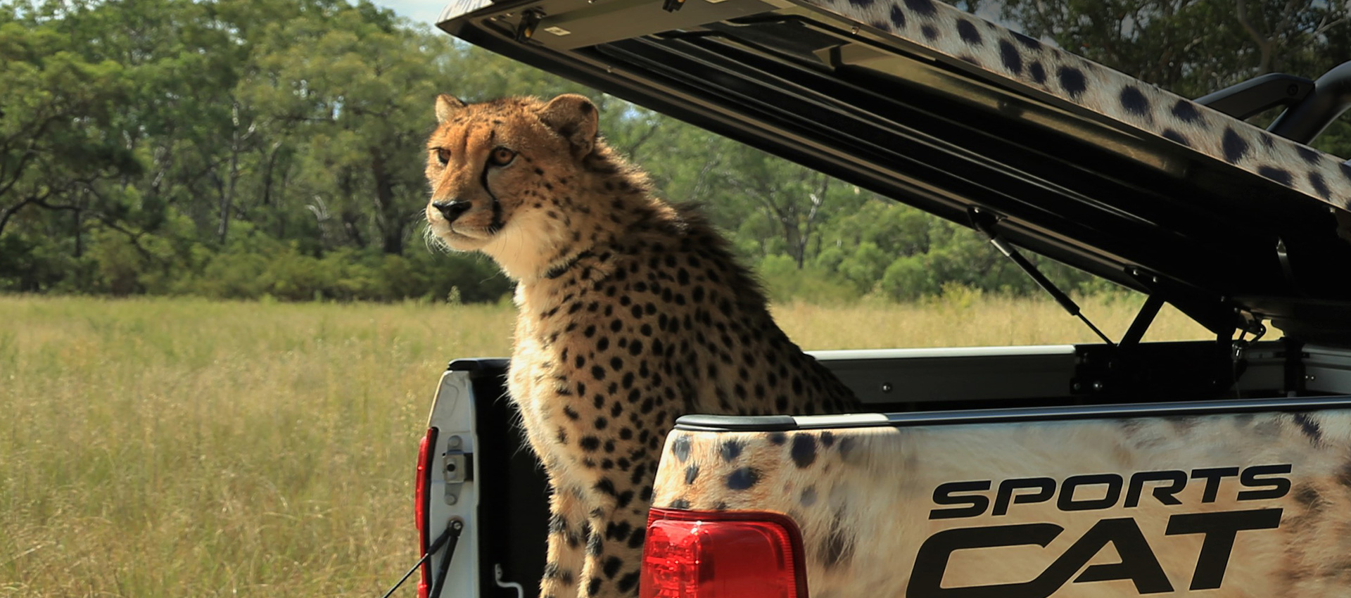 Wild Cat Conservation Centre